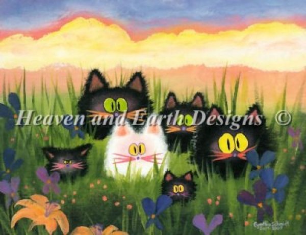 画像1: Herd Of Kitties (1)