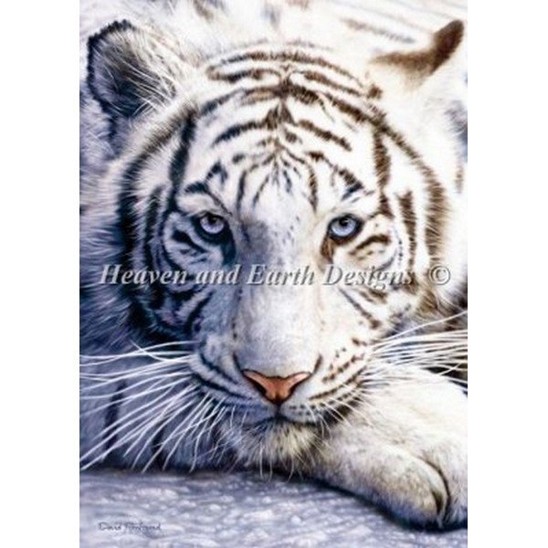 画像1:  クロスステッチ キット[HAEDミニ]Mini White Tiger  25ct - Heaven And Earth Designs  (1)
