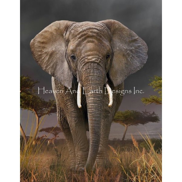 画像1: クロスステッチ キット[HAEDレギュラー] Elephant Walk 25ct -Heaven and Earth Designs (1)