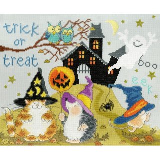 Amazon.com: Bothy Threads Counted Cross Stitch Kit