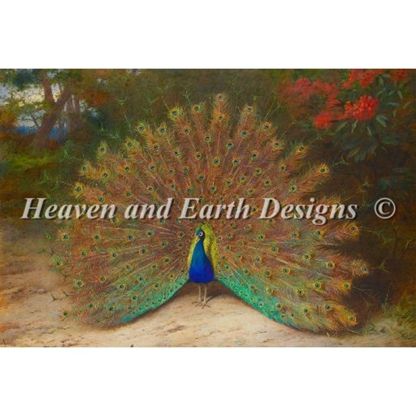 画像1: クロスステッチ キット[HAEDレギュラー] PEACOCK THORBURN- 25ct -Heaven and Earth Designs (1)