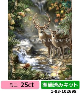 低木林地　英語　第7版　foil 低木林地 英語 第7版 foil