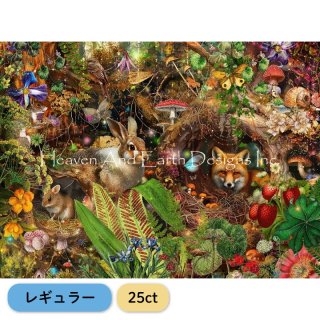 HAEDレギュラー25ct