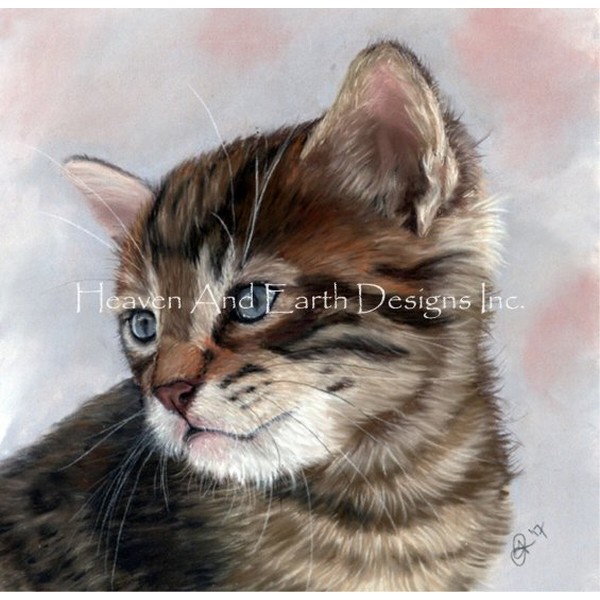 クロスステッチ図案Misty Kitty- HAED(Heaven and Earth Designs)